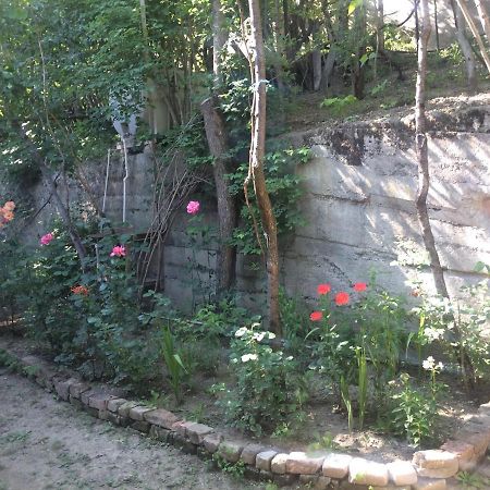 Guesthouse Malkhazi Borjomi ภายนอก รูปภาพ