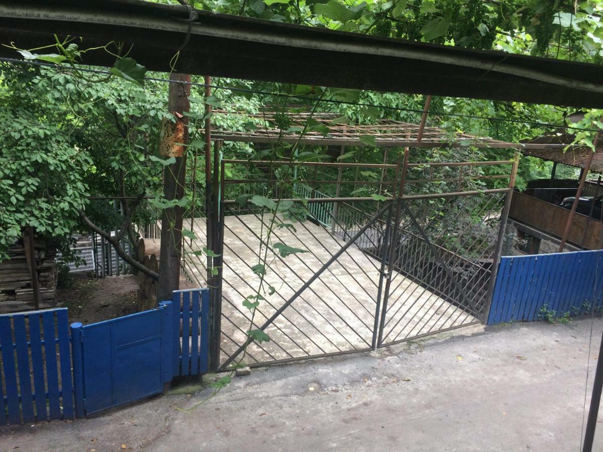 Guesthouse Malkhazi Borjomi ภายนอก รูปภาพ